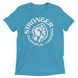 The Basic (fitted) Short sleeve t-shirt